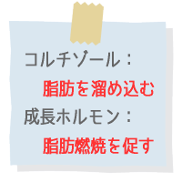 �R���`�]�[���͐����s���̍ۂɕ��傳���z�������ő̎��b��~����