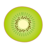 �L�E�C�t���[�c