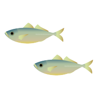 ���Ɋ܂܂��EPA�̓R���X�e���[���⒆�����b�����炷����������