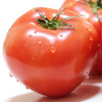 �g�}�g�̃��R�s���͑�ӌ���ɂ���