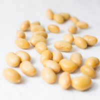 �哤�̓^���p�N��