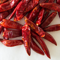 �g�E�K���V